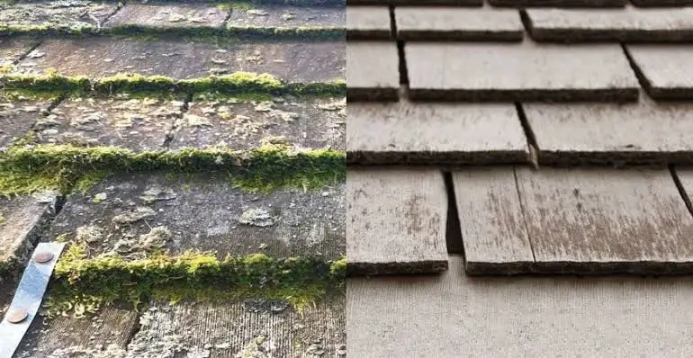 Moss-lined cedar shake courses next to a clean section of cedar shakes