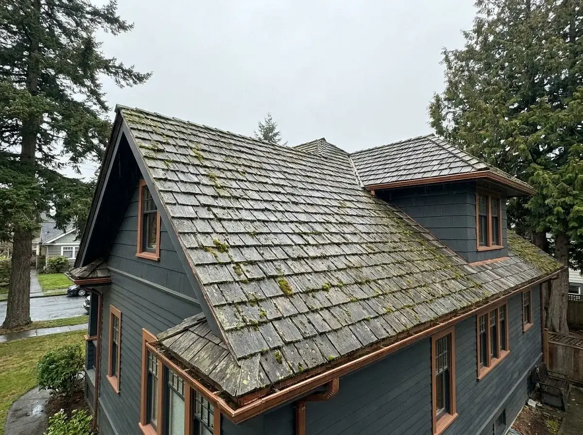 Weathered cedar shake roof with moss tufts along the courses, tall conifers either side