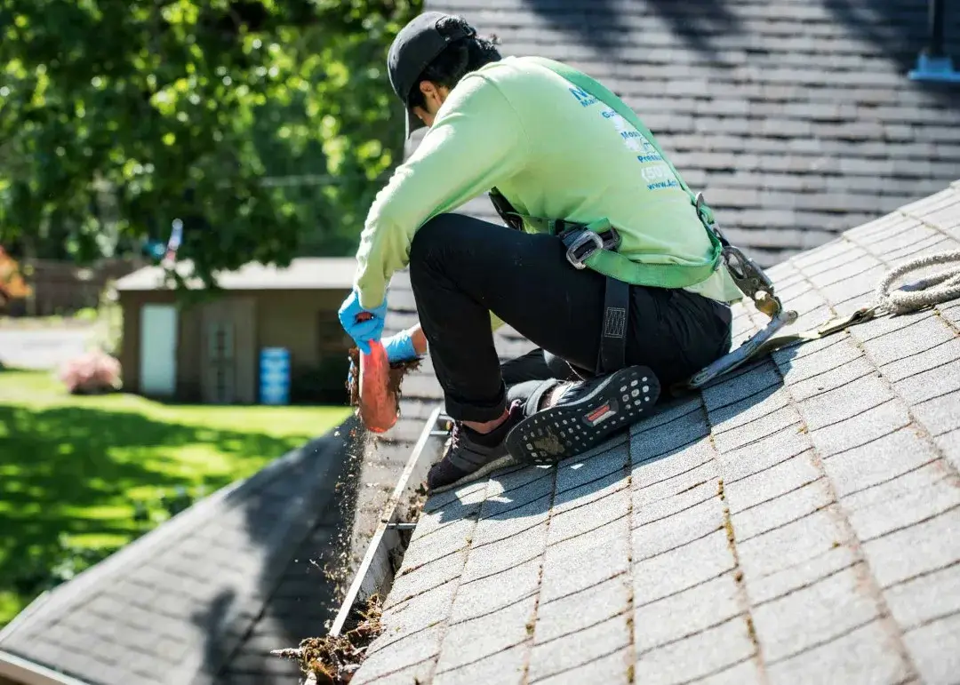 Harnessed crew member kneeling at a shingle roof edge, clearing debris from the gutter