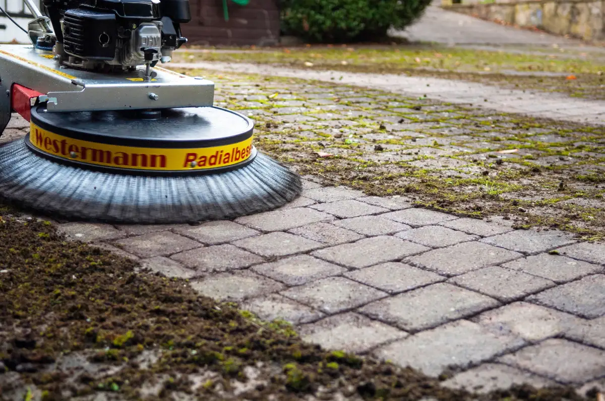 A paved path half cleared, moss still thick in the joints at the edge