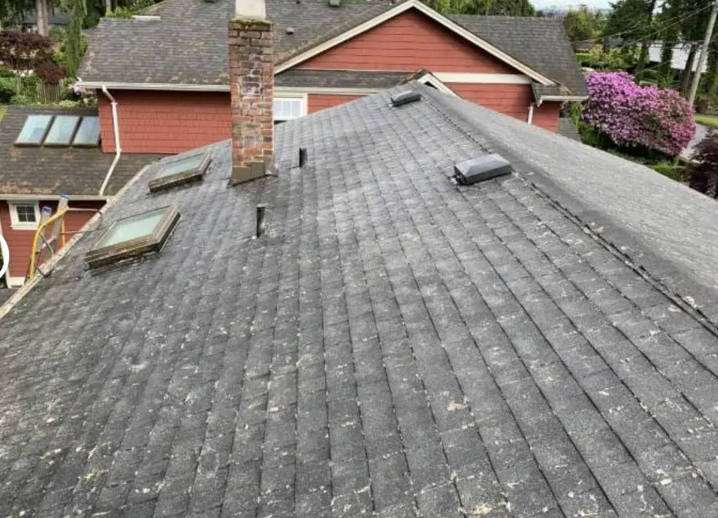 After: the same shingle roof cleared, skylights and a brick chimney in shot