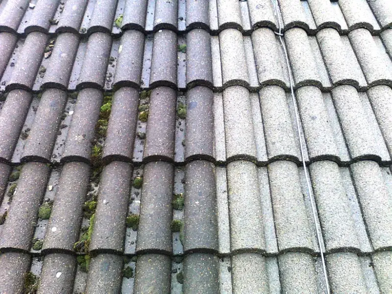 Half-cleaned concrete tile roof, moss-filled pans beside freshly cleared tiles