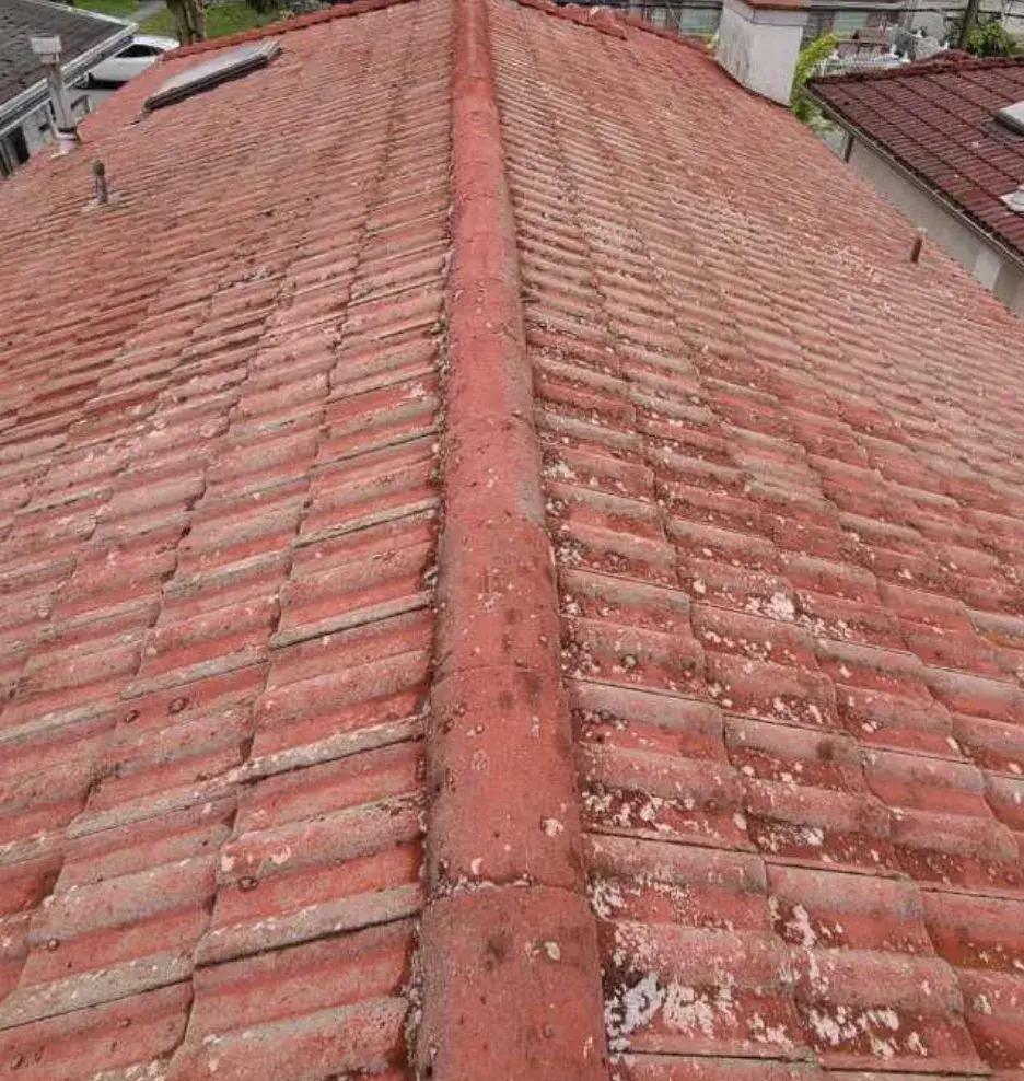 After: the same tile roof from the same spot, clumps lifted and ridge clear